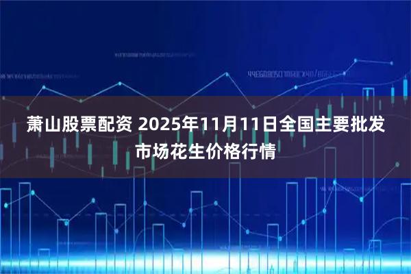 萧山股票配资 2025年11月11日全国主要批发市场花生价格行情